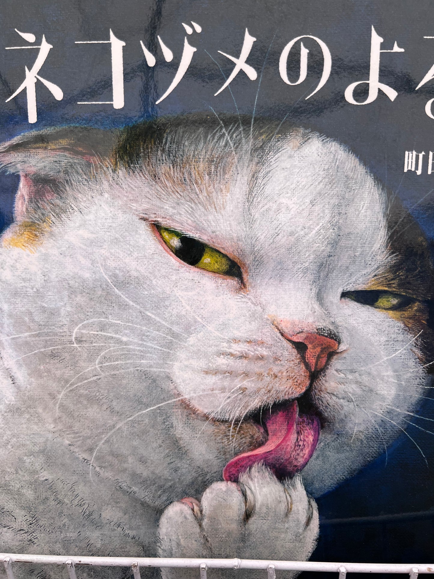 Serie Gatos - Neko tsume no yoru