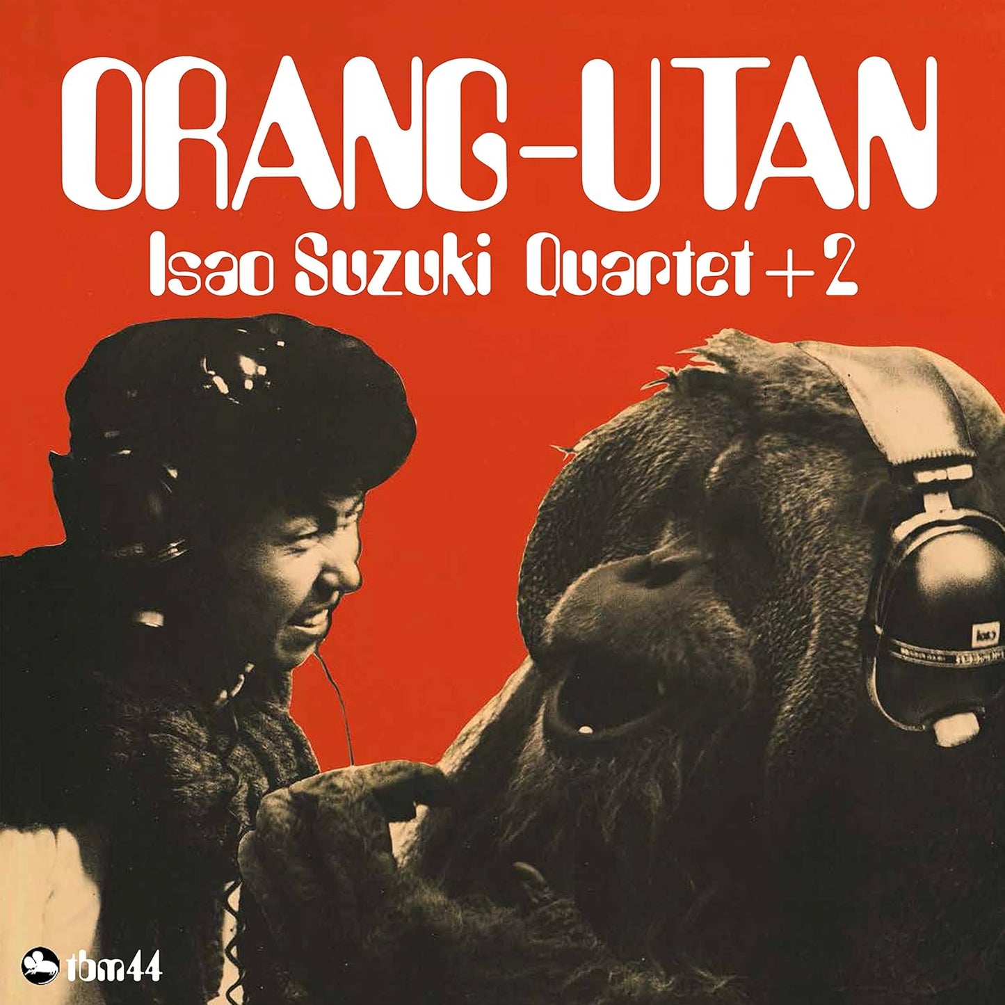Orang-Utan