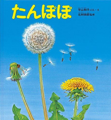 Libro Tanpopo (たんぽぽ)  – La vida de un diente de león ilustrada  | Kurabu