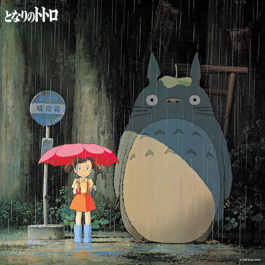 Mi Vecino Totoro Album de Imagen