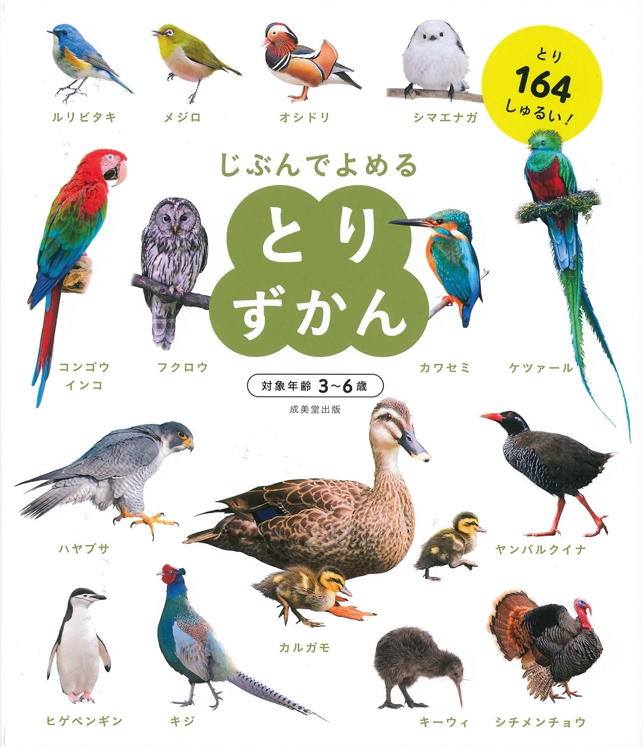 Enciclopedia en japonés - Léelo tú mismo - Aves | 3-6 años | とりずかん (じぶんでよめる)