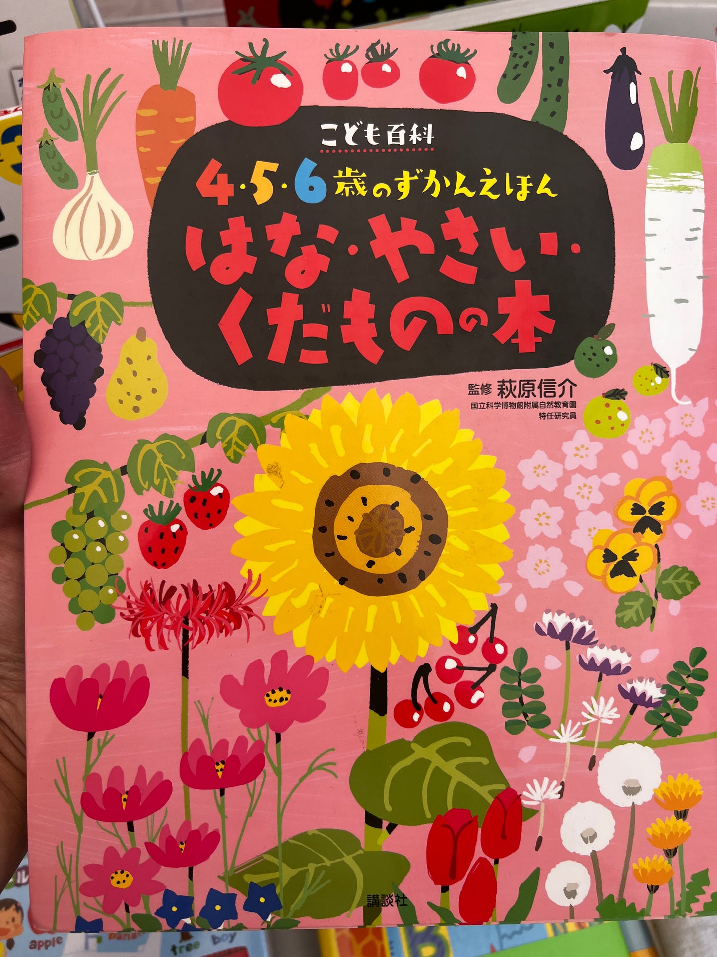 Enciclopedia en japonés para niños - flores, verduras y frutas (4-6 años)