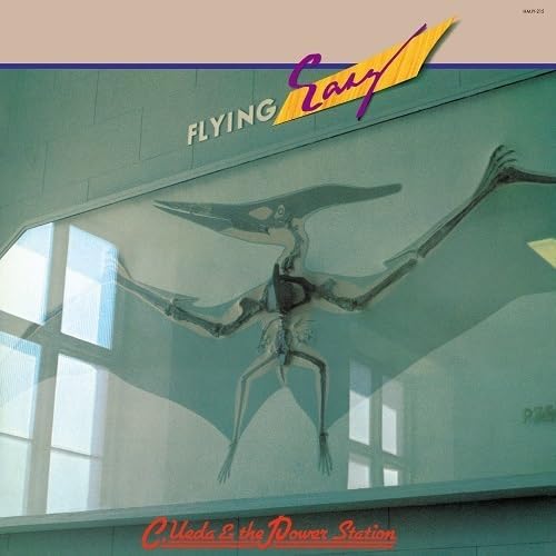 Flying Easy Chikara Ueda